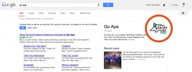 Go Ape appearing in the SERPS
