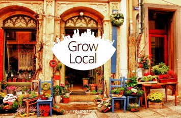 Google Partners Grow Local