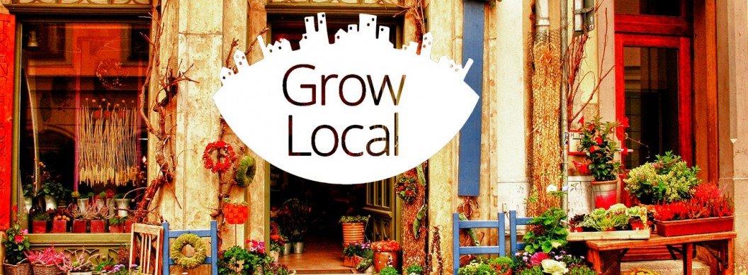 Google Partners Grow Local